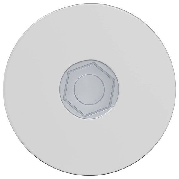 vidaXL Vijak 2 pcs Cinkano 5 x 40 mm elezo