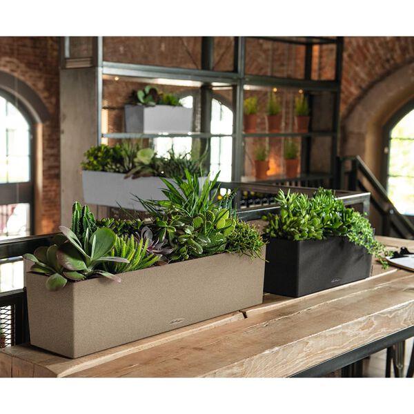 LECHUZA Cvetlično korito BALCONERA Stone 80 ALL-IN-ONE bež