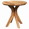 vidaXL Stranska miza Rjava 55 x 55 x 51 cm Trden tikov les