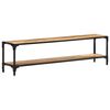 vidaXL TV omarica 150x30x40 cm trden mangov les