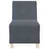 vidaXL Modularna sofa enota brez naslonov 2 pcs Temno siva