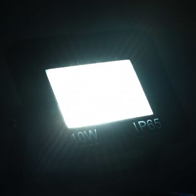 vidaXL LED reflektor 2 kosa 10 W hladno bel