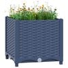 Blue_grey