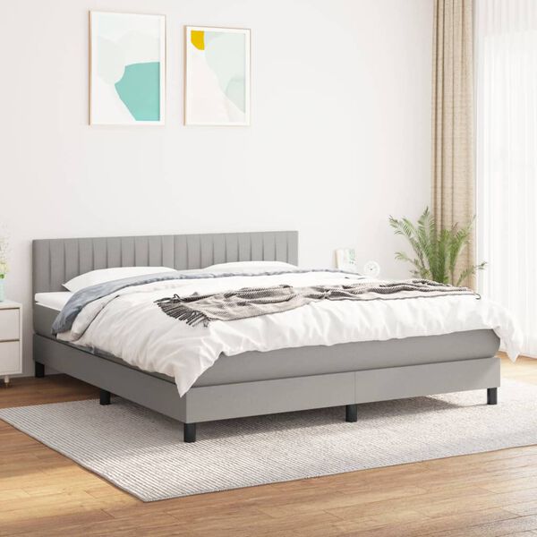 vidaXL Box spring postelja z vzmetnico svetlo siva 160x200 cm žamet