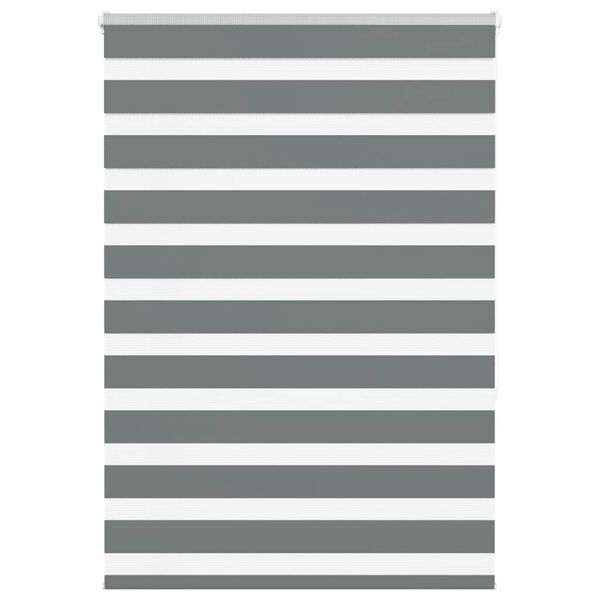 vidaXL Zebra senčilo temno sivo 100x150 cm tkanina &scaron;irina 95,9 cm