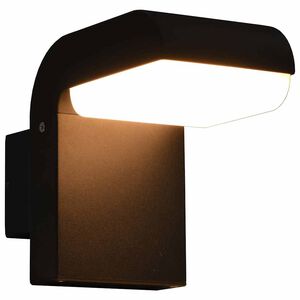 vidaXL Zunanja LED stenska svetilka 9 W črna ovalna