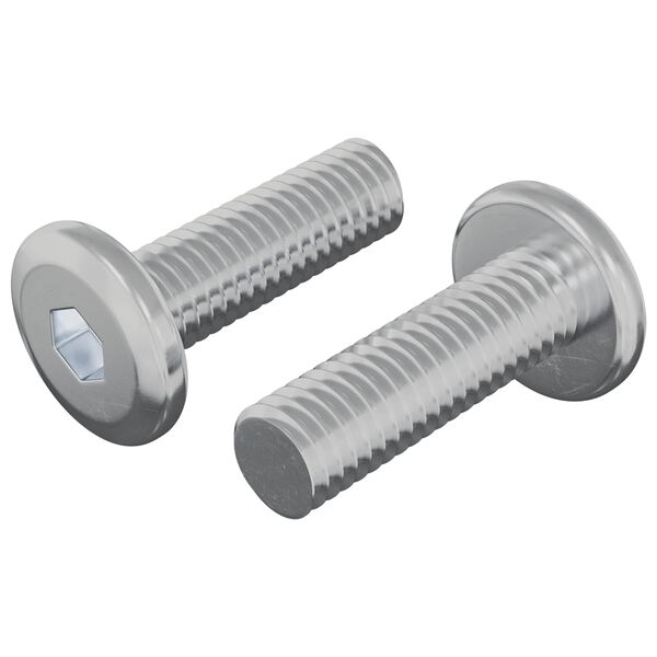 vidaXL Vijak 2 pcs srebrna 8 x 25 mm Jeklo