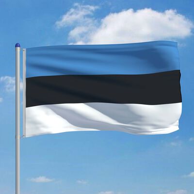 vidaXL Zastava Estonije in aluminijast zastavni drog 6 m
