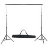vidaXL Komplet za foto studio z lučmi in ozadjem
