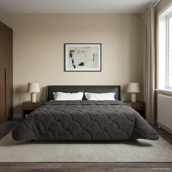 vidaXL Polna celoletna prevleka &Scaron;onerisan Antracit 220 x 240 cm