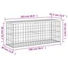 vidaXL Vrtna gabionska klop 103x31,5x42 cm trden les douglas