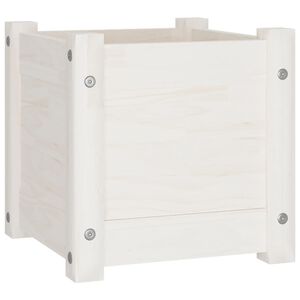 vidaXL Vrtno cvetlično korito belo 31x31x31 cm trdna borovina
