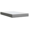 vidaXL Boxspring postelja z vzmetnico svetlo siva 120x190 cm blago
