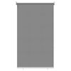 vidaXL Rolo zavesa z UV za&scaron;čito Svetlo siva 60 x 140 cm Poliester