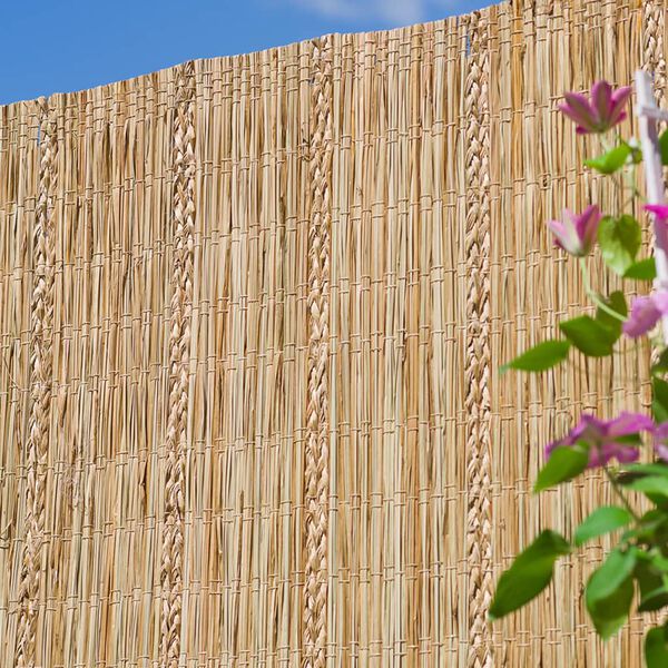 Nature Vrtna pregrada iz Carex &scaron;a&scaron;ja 3x1 m