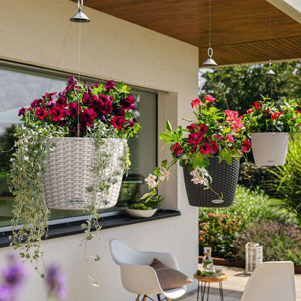 LECHUZA Viseč cvetlični lonec NIDO Cottage 35 ALL-IN-ONE granit