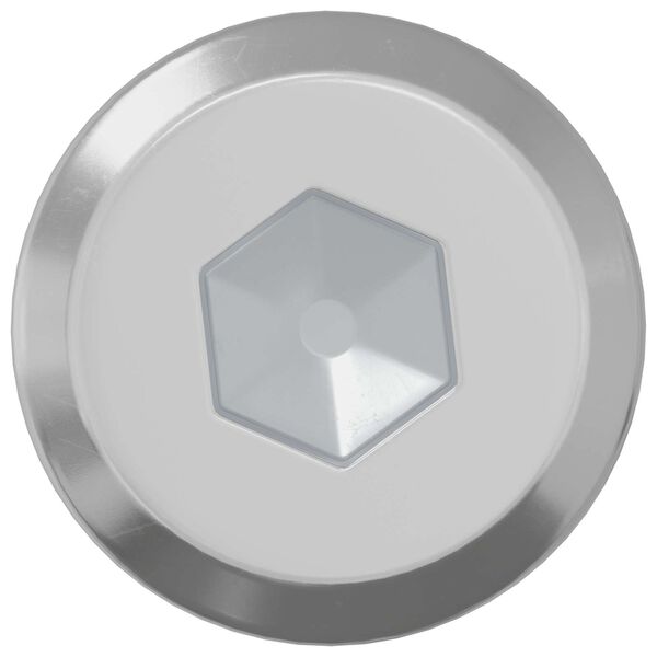 vidaXL Zaklepni vijak Enobarvno 12 pcs srebrna M6 x 30 mm Jeklo