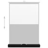 vidaXL Dvižno projekcijsko platno 60" 4:3