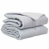 vidaXL Polna celoletna prevleka 240 x 260 cm 300 gsm srebrna