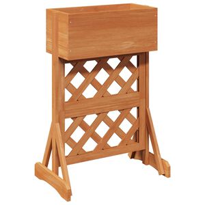 vidaXL Vertical Garden Trellis Oranžna 48 x 30 x 70,5 cm Trdna smreka