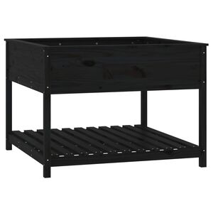 vidaXL Visoka greda s polico črna 111,5x111,5x81 cm trdna borovina