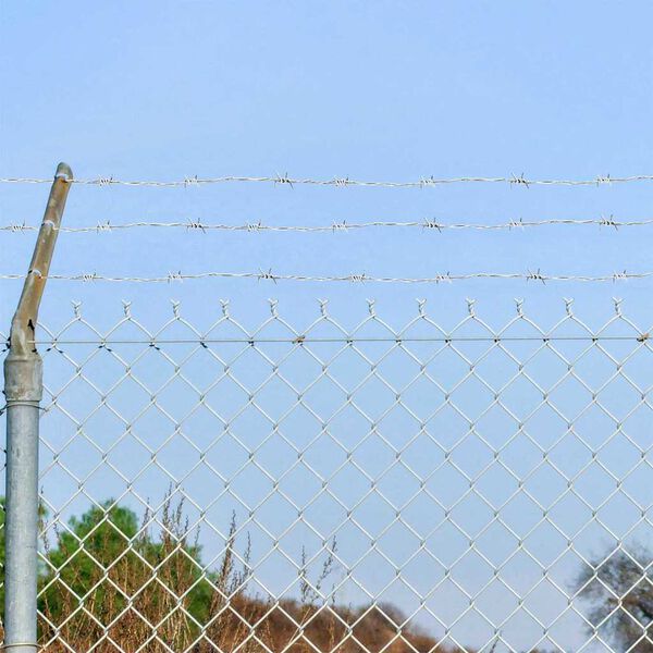 vidaXL Žica s trnjem srebrna 50 m Cinkana jeklena