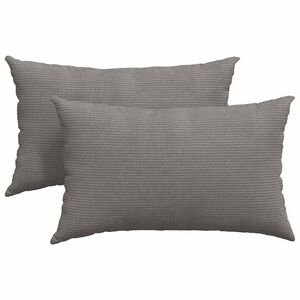 vidaXL Blazine za kavč 2 pcs Svetlo siva 50 x 30 cm Žametna tkanina