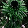Sličica izdelka 13 od 17
