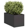 vidaXL Planter Black 40x80x40 cm Hladno valjano jeklo