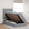 vidaXL Postelja z dodatnim prostorom za shranjevanje in LED osvetlitvijo