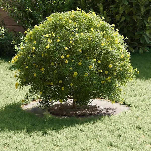 vidaXL primeren za ravne obroče dreves 5 pcs srebrna Ø30 / 60 cm