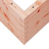 vidaXL Vrtno cvetlično korito 70x70x45,5 cm trden les douglas