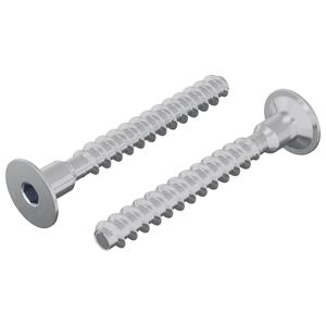 vidaXL Vijak 2 kos Cinkano 5 x 40 mm elezo
