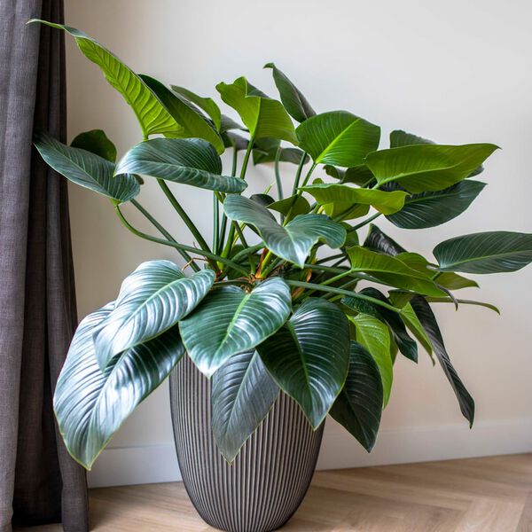 Capi Vaza elegant Groove 34x46 cm antracitna