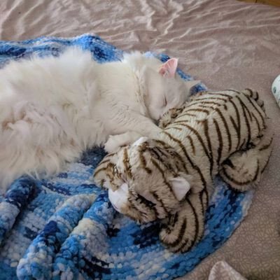 Snuggle Puppy Plišasta igrača za mačke s srčnim utripom siva in bela
