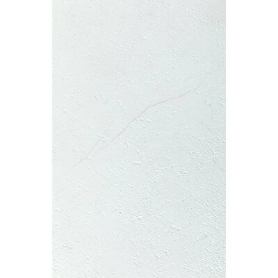 Grosfillex Stenske plošče Gx Wall+ 11 kosov kamen 30x60 cm bele