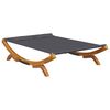 vidaXL Zunanja postelja 165x188,5x46 cm trden les antracit