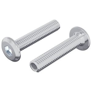 vidaXL Zaklepni vijak Enobarvno 2 pcs srebrna M6 x 30 mm Jeklo