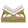 vidaXL Rastlinjak 2 kosa impregnirana borovina 100x50x35 cm