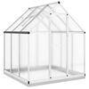 vidaXL Rastlinjak z okvirjem srebrn 169x169x202 cm aluminij