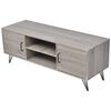 vidaXL TV omarica 120x40x45 cm siva
