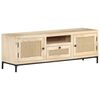 vidaXL TV omarica 120x30x40 cm trden mangov les in naravni trst