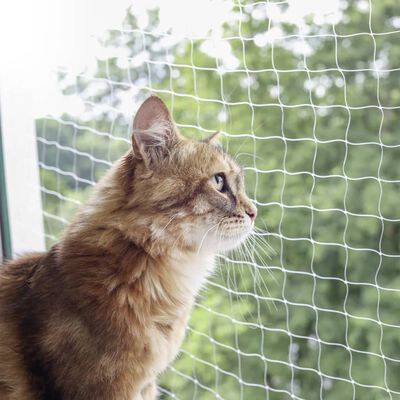 Kerbl Zaščitna mreža za mačke 4x3 m prozorna