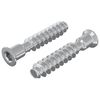 vidaXL &Scaron;efasta vijak 2 kos Srebrna M7 x 40 mm Jeklo
