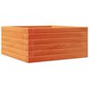 vidaXL Vrtno cvetlično korito vo&scaron;čeno rjavo 50x50x23 cm trdna borovina