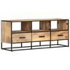 vidaXL TV omarica 110x30x45 cm robusten mangov les