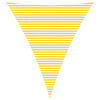 Yellow_and_white