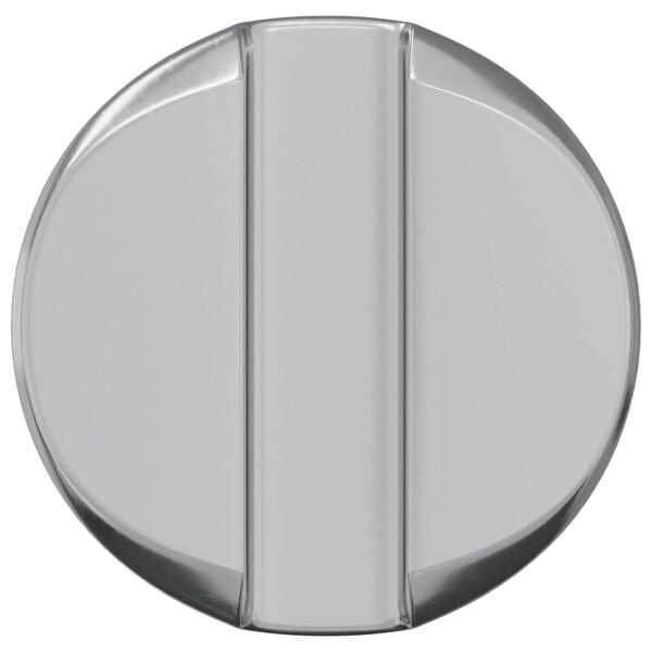 vidaXL Matica sodi 2 pcs srebrna M6 x 13 mm elezo