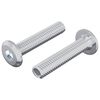 vidaXL Zaklepni vijak Enobarvno 2 pcs srebrna M6 x 30 mm Jeklo