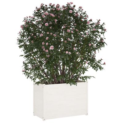 vidaXL Vrtno cvetlično korito belo 100x50x70 cm trdna borovina